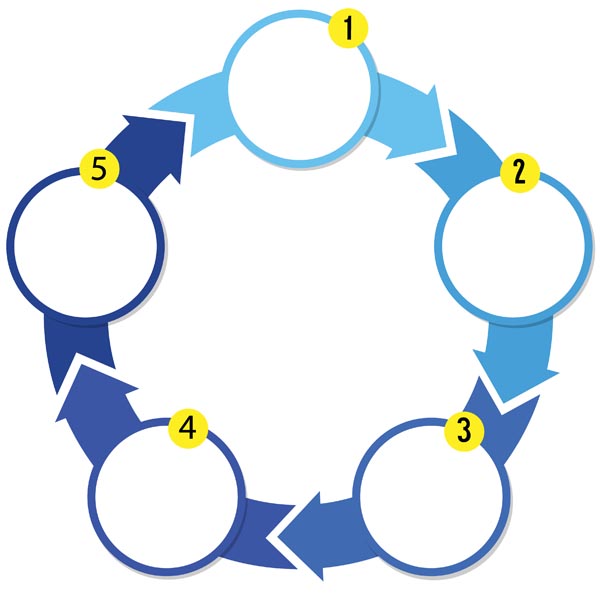 diagram levenscyclus