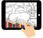 kleurplaat oryx