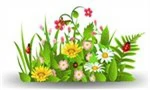 Zoek de verschillen lentebloemen