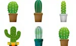 Zoek twee dezelfde cactussen